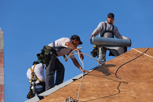 Roof Gutter Cleaning in Horse Shoe, NC