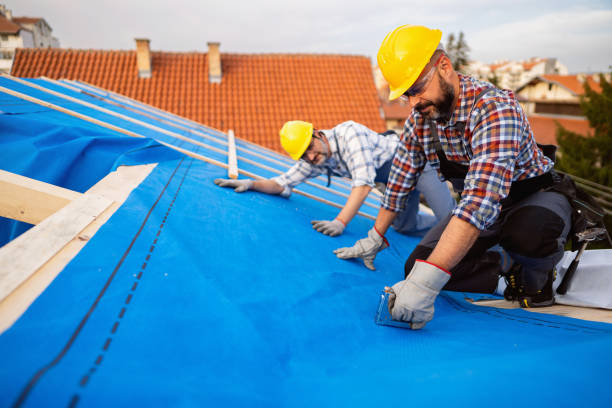 Best Residential Roofing Contractor  in Horse Shoe, NC