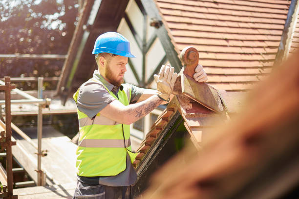 Best Roof Repair Services  in Horse Shoe, NC